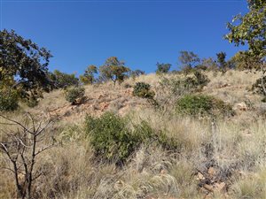 9 ha Land available in Ninapark