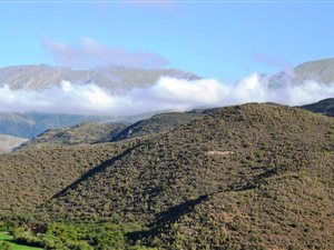 1487 m² Land available in De Rust