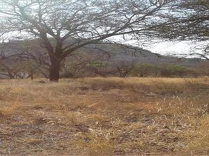 495 m² Land available in Phalaborwa