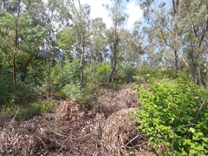 962 m² Land available in Amandasig