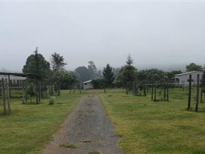37.5 ha Farm in Balgowan