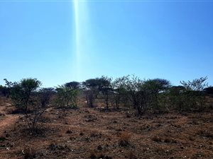 4.3 ha Farm in Ivydale