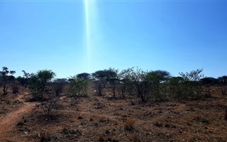 4.3 ha Farm in Ivydale