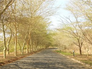 830 m² Land available in Shelly Beach