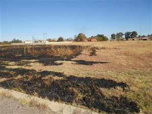 1000 m² Land available in Struisbult