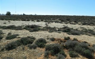 1 ha Land available in Hondeklip Bay