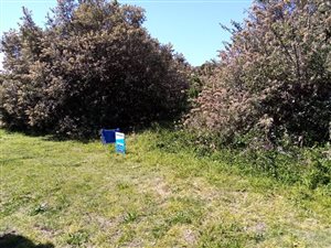 967 m² Land available in Kaysers Beach