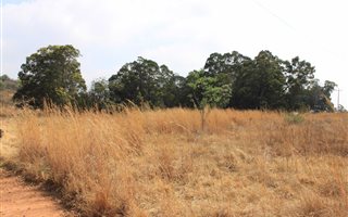 1 ha Land available in Blue Saddle Ranches