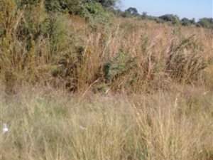 8.6 ha Land available in Brits