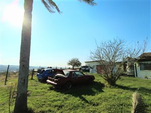 21.5 ha Farm in East London Central