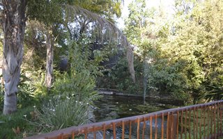 600 m² Commercial space in Mookgophong (Naboomspruit)