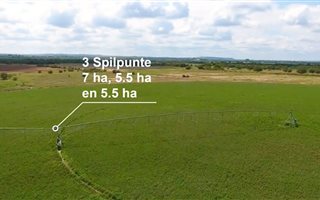 668.3 ha Farm with House in Bloemfontein Farms