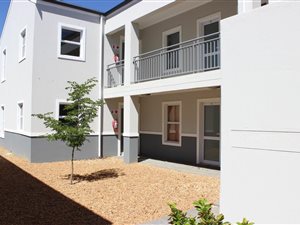 2 Bedroom Apartment in Wellington Central