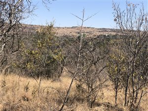 10 ha Land available in Klipkop