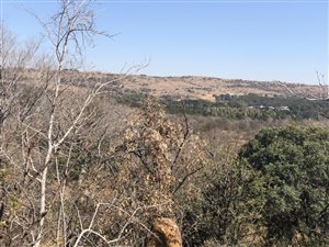 10 ha Land available in Klipkop