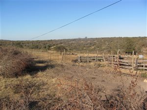 7 m² Farm in Macleantown
