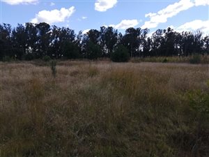 2.1 ha Farm in Homestead Apple Orchards