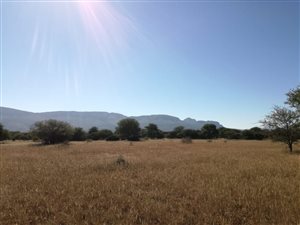 Farm in Louis Trichardt