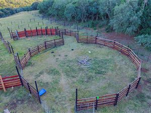 150 ha Farm in Alexandria