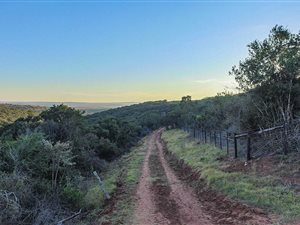 150 ha Farm in Alexandria