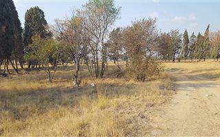 2.5 ha Land available in Timsrand AH
