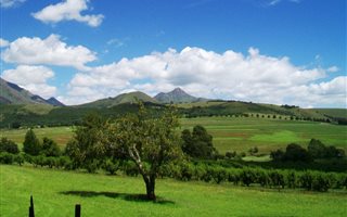64.9 ha Farm with House in Kokstad