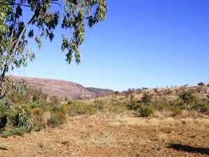 38 ha Farm in Moregloed