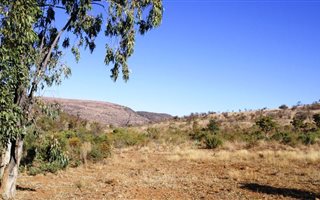 38 ha Farm in Moregloed