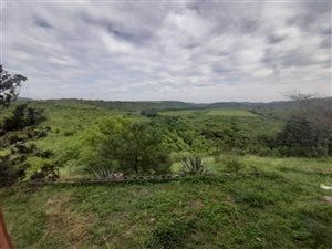 21 ha Farm in Nseleni