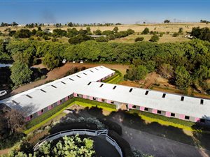 6 ha Farm in Knopjeslaagte