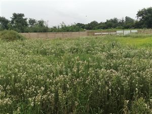 2218 m² Land available in Meyerton South