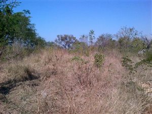 1121 m² Land available in Mandini