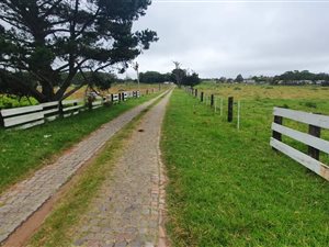 5.1 ha Farm in Port Elizabeth Central