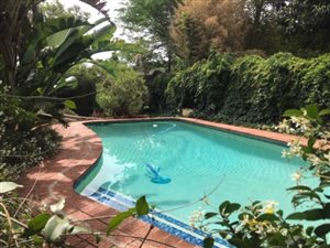 3 Bed House in Rietondale