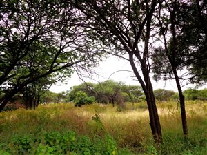 8.4 ha Farm in Pienaarspoort