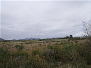7.9 ha Farm in De Kelders
