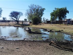 1020 ha Farm in Jan Kempdorp