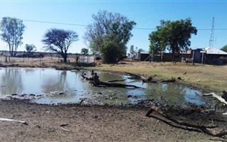 1020 ha Farm in Jan Kempdorp
