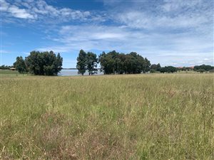 4.5 ha Farm in Deneysville