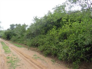4101 m² Land available in Bathurst and Surrounds