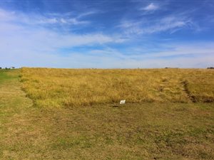 876 m² Land available in Oubaai and surrounds