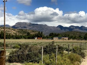 16 ha Farm in McGregor