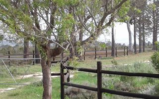 1000 m² Land available in Bot River