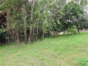 1019 m² Land available in Craighall
