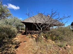 753 ha Farm in Kroonstad