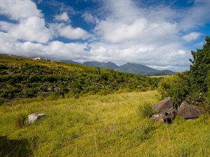 1120 m² Land available in Welgelegen Estate