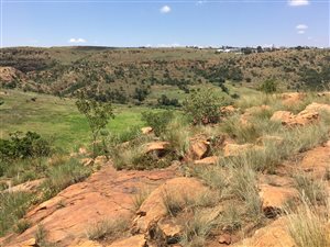 80 ha Land available in Sterkfontein and surrounds