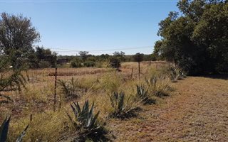 7.5 ha Farm in Kameeldrift East