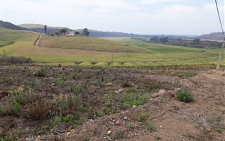 990 m² Land available in Kingsburgh
