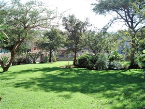 615 m² Land available in Bronberg